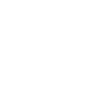 Coca Cola - Andina